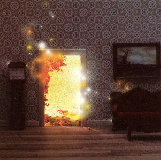 Damiera - EP - One-Sided LP | STORM051