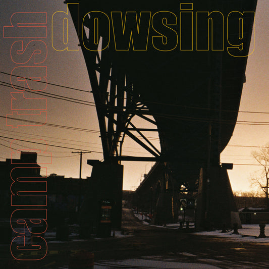 Camp Trash & Dowsing - An Embarrassment of Riches - Split One Sided LP | STORM064