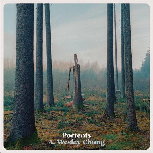 A. Wesley Chung - Portents - LP | STORM041