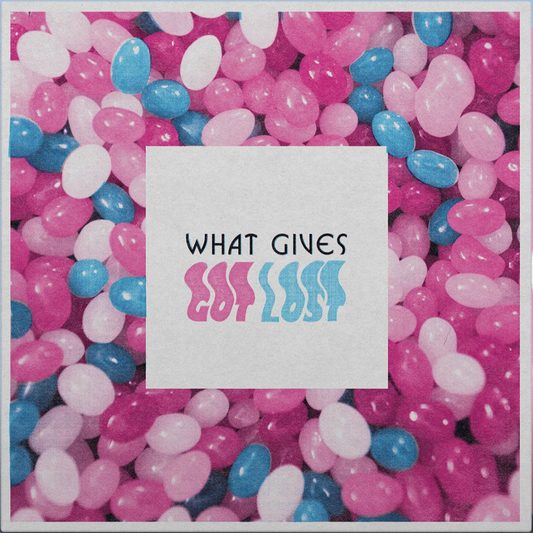 What Gives - Got Lost - LP | STORM035